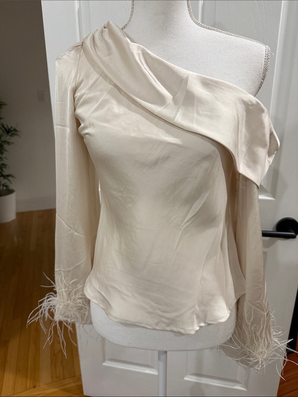 Astr One-Shoulder Satin Blouse with Feather Trim in Cream